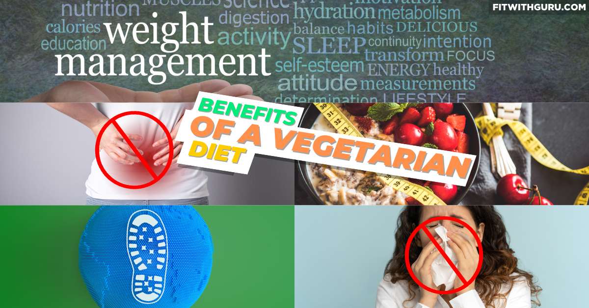 healthy diet plan for a vegetarian