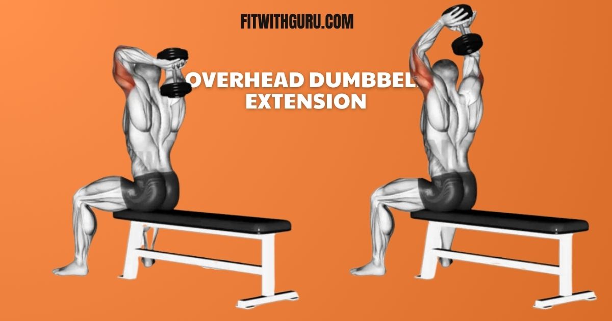 long head tricep exercises